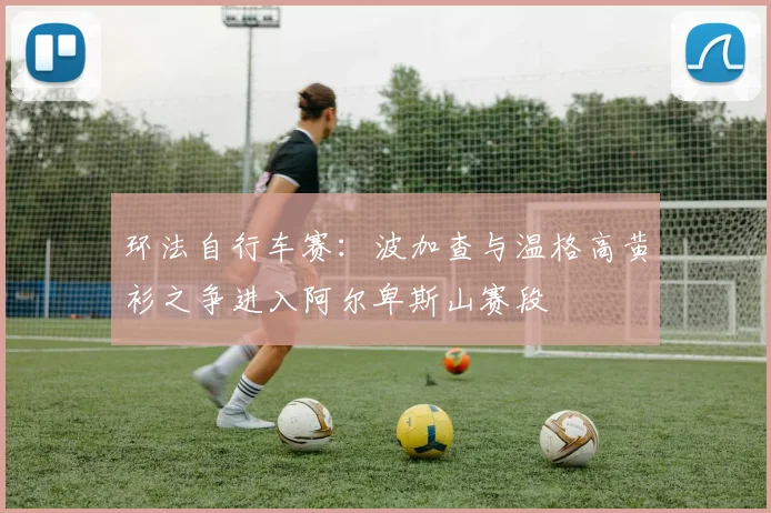 环法自行车赛:波加查与温格高黄衫之争进入阿尔卑斯山赛段